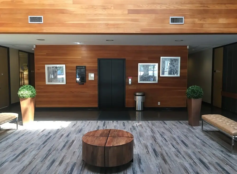 Reception at Augusta Dental, Timbergrove, Houston