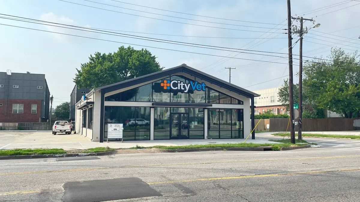 Treatment room at CityVet | Old East Dallas, Downtown Dallas, Dallas