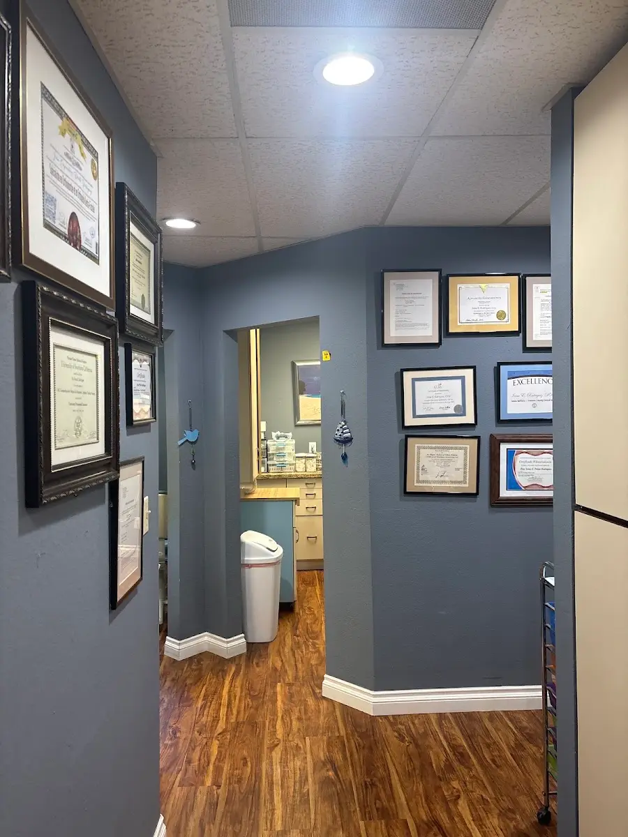 Treatment room at Dr. Irina E. Rodriguez, DDS, Ojai, Ojai