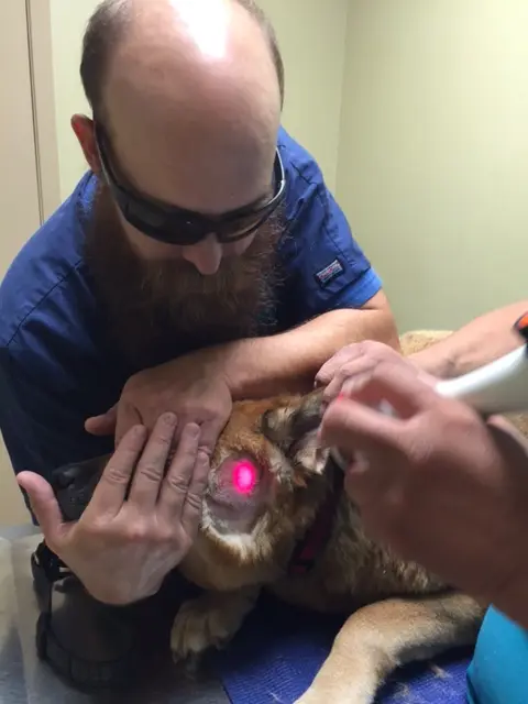 Reception at Forest West Animal Clinic, Oak Forest, Houston