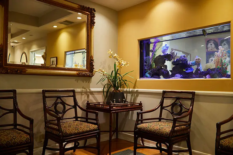Waiting area at Holistic Dental Wellness Center - Iman Abdeshahian, DMD, Long Beach, Long Beach