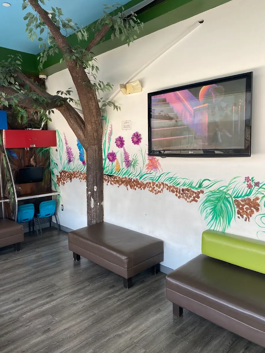 Reception at Kids and Teen Dental Place, Van Nuys, Van Nuys