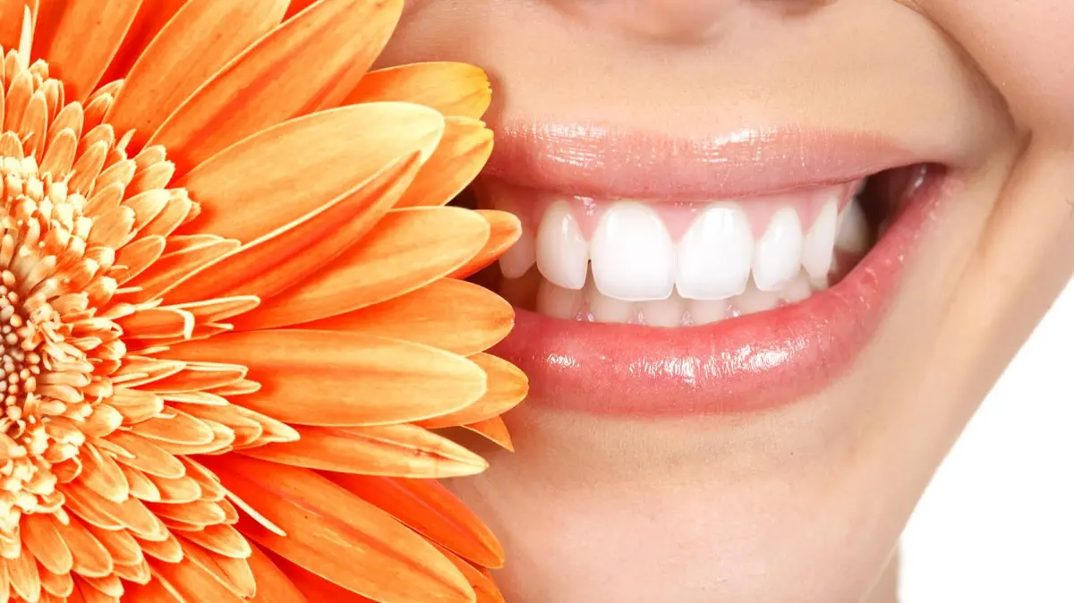 Inside Larchmont Dental Associates, Hollywood, Los Angeles