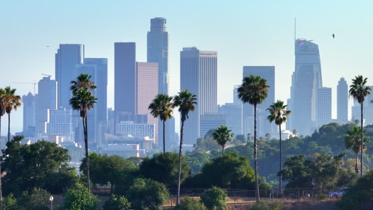 Dental clinic in Los Angeles