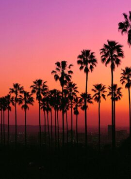 Dental clinic in California