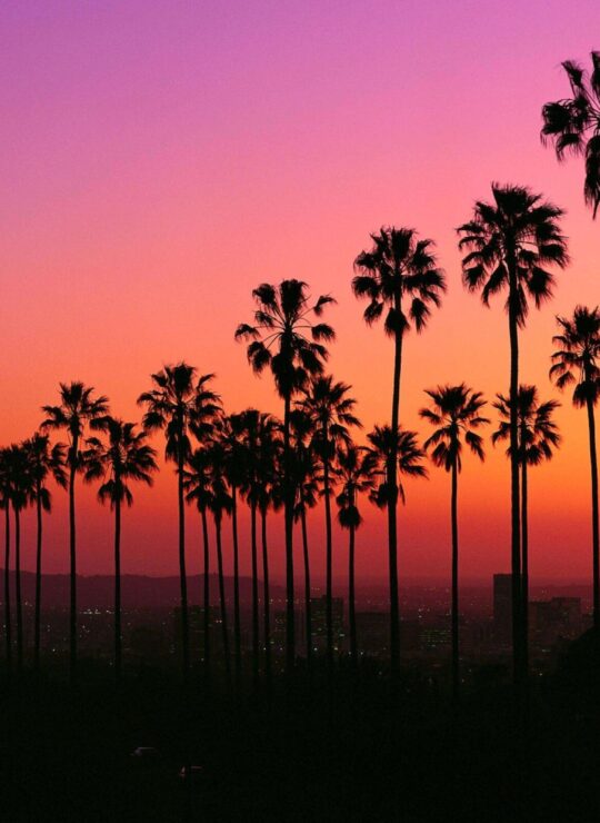 Dental clinic in California